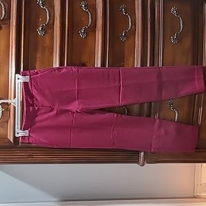 Women's Express Columnist Pants Size 00 Petite - Cranberry Color